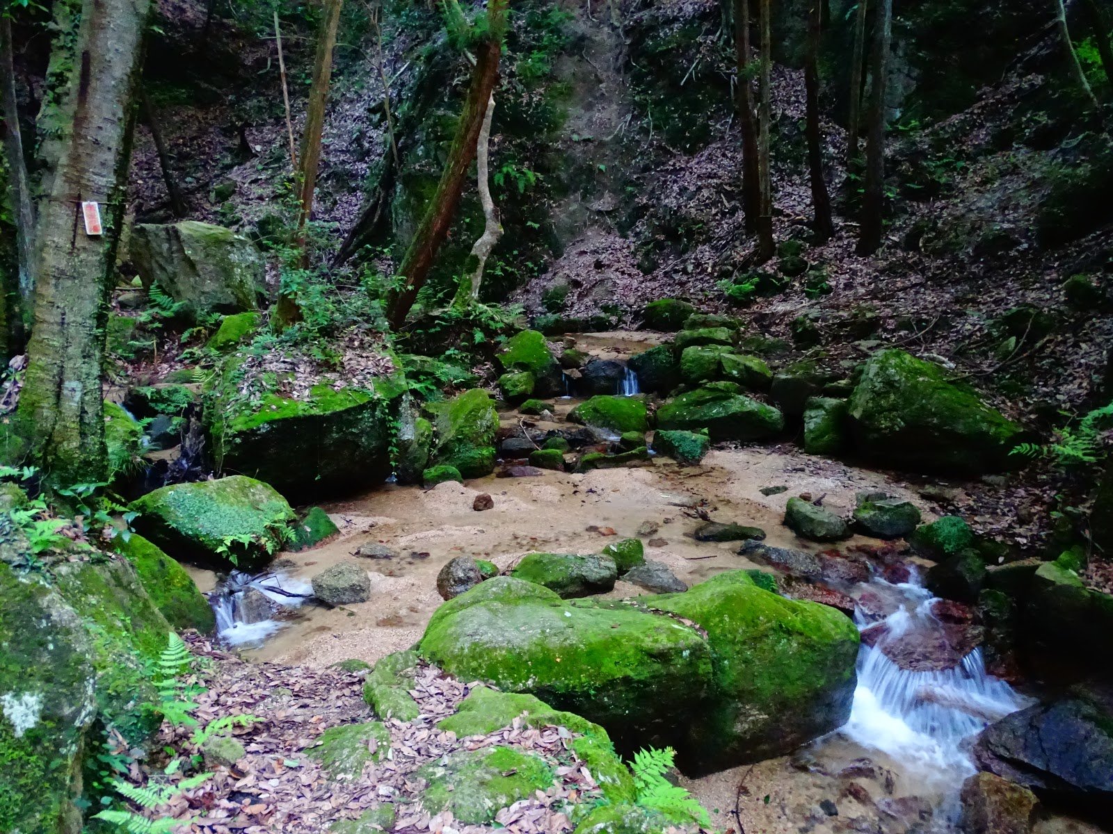 🏞️ 달의 고리 폭포 (츠키노와타키) 이미지 5
